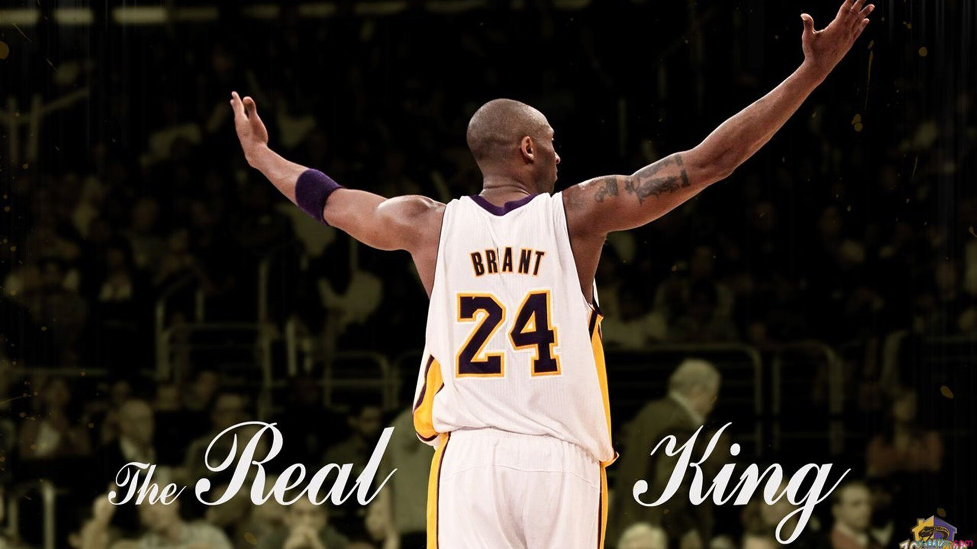 伊朗骑手吉塔·日特科维奇荣获2024年最佳障碍赛骑手奖，表彰其卓越表现。